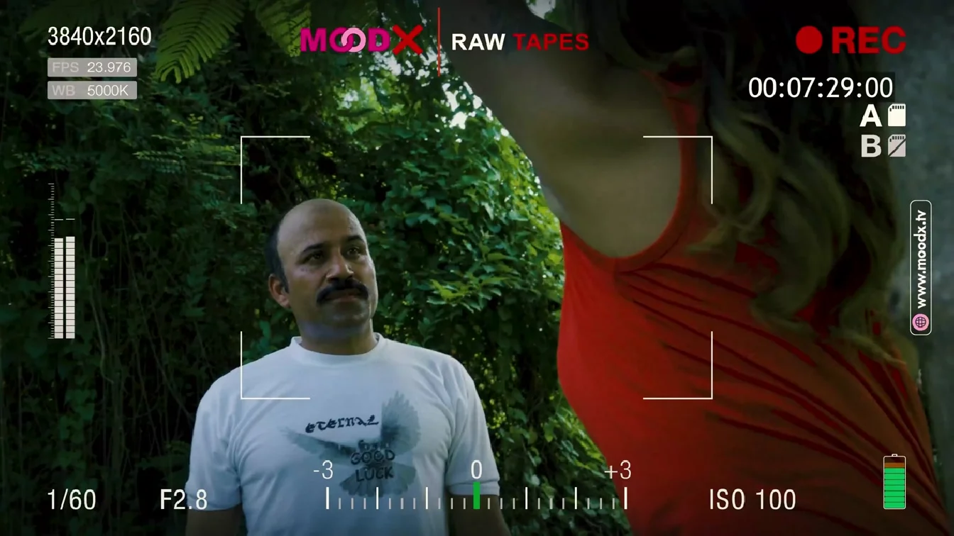 Password BTS MoodX